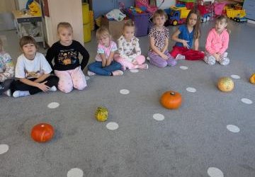 „DZIEŃ DYNI” - gr. B